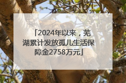 2024年以来，芜湖累计发放孤儿生活保障金2758万元