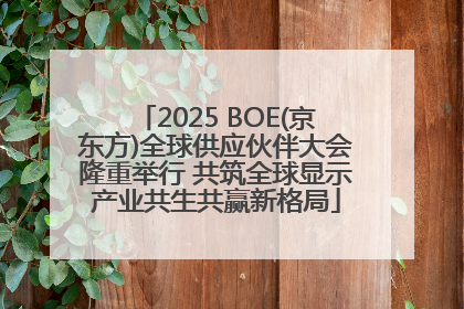 2025 BOE(京东方)全球供应伙伴大会隆重举行 共筑全球显示产业共生共赢新格局