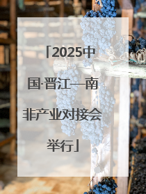 2025中国·晋江—南非产业对接会举行