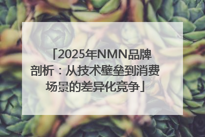 2025年NMN品牌剖析：从技术壁垒到消费场景的差异化竞争