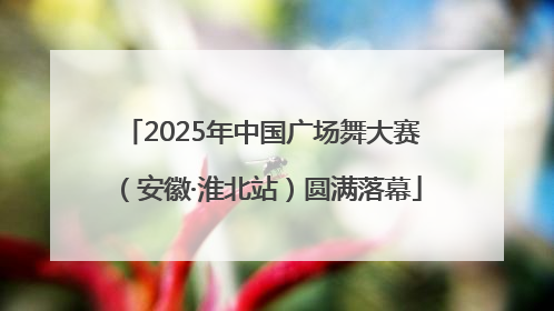 2025年中国广场舞大赛（安徽·淮北站）圆满落幕