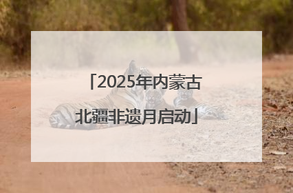 2025年内蒙古北疆非遗月启动