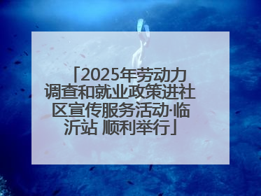 2025年劳动力调查和就业政策进社区宣传服务活动·临沂站 顺利举行