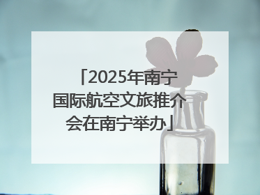 2025年南宁国际航空文旅推介会在南宁举办