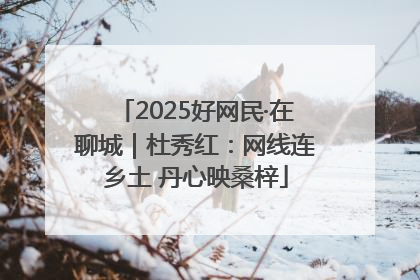2025好网民·在聊城｜杜秀红：网线连乡土 丹心映桑梓