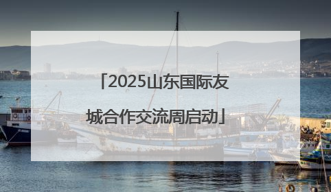 2025山东国际友城合作交流周启动