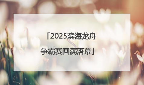 2025滨海龙舟争霸赛圆满落幕