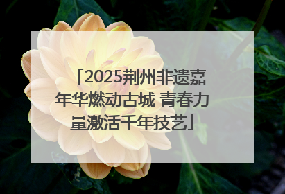 2025荆州非遗嘉年华燃动古城 青春力量激活千年技艺