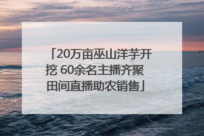 20万亩巫山洋芋开挖 60余名主播齐聚田间直播助农销售