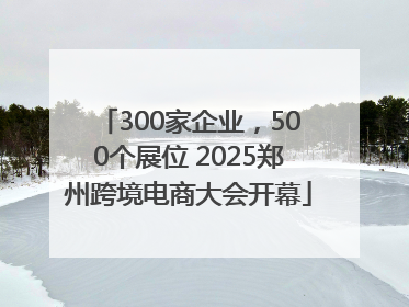 300家企业，500个展位 2025郑州跨境电商大会开幕