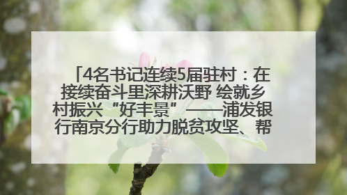 4名书记连续5届驻村：在接续奋斗里深耕沃野 绘就乡村振兴“好丰景”——浦发银行南京分行助力脱贫攻坚、帮促乡村振兴记事（二）