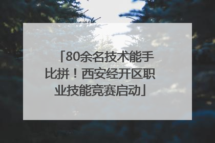 80余名技术能手比拼！西安经开区职业技能竞赛启动
