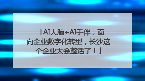 AI大脑+AI手伴，面向企业数字化转型，长沙这个企业太会整活了！
