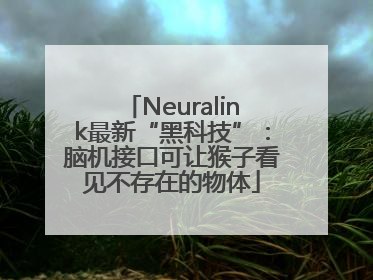 Neuralink最新“黑科技”：脑机接口可让猴子看见不存在的物体
